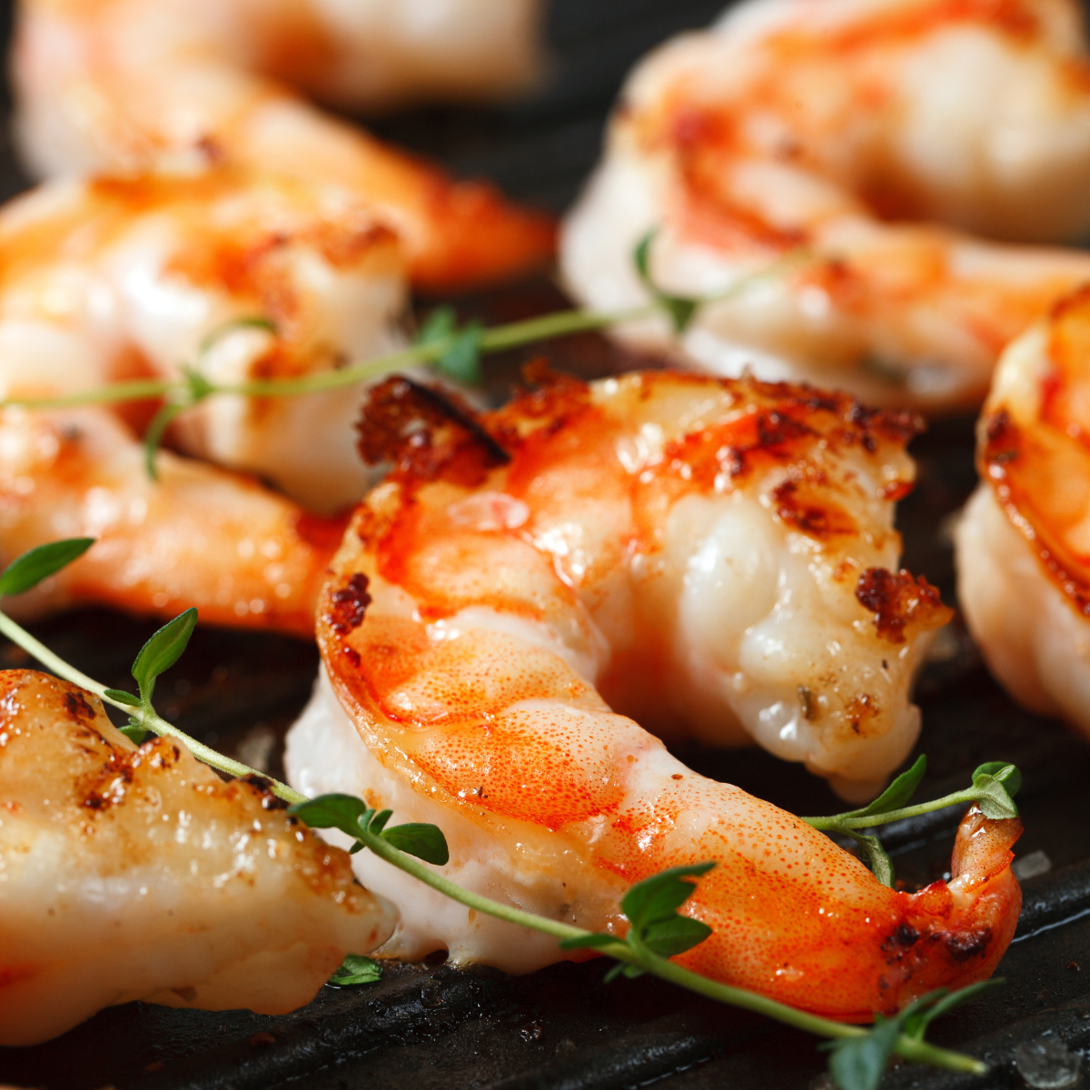 crevettes tigrées livrée au Québec