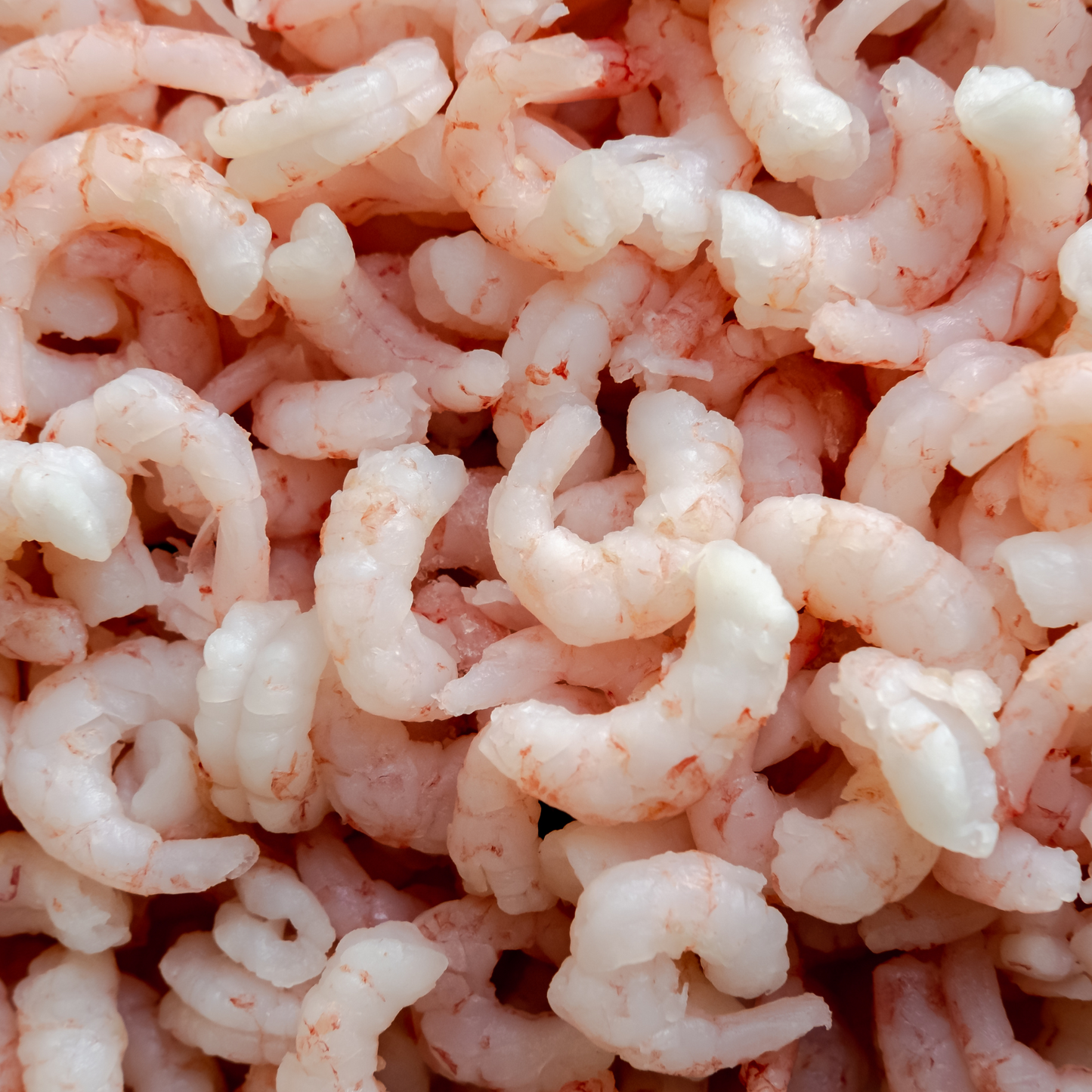 Livraison de Crevettes de Matane au Québec